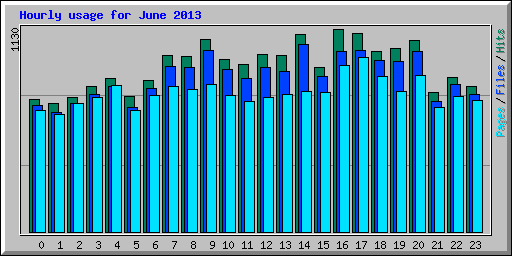 Hourly usage for June 2013